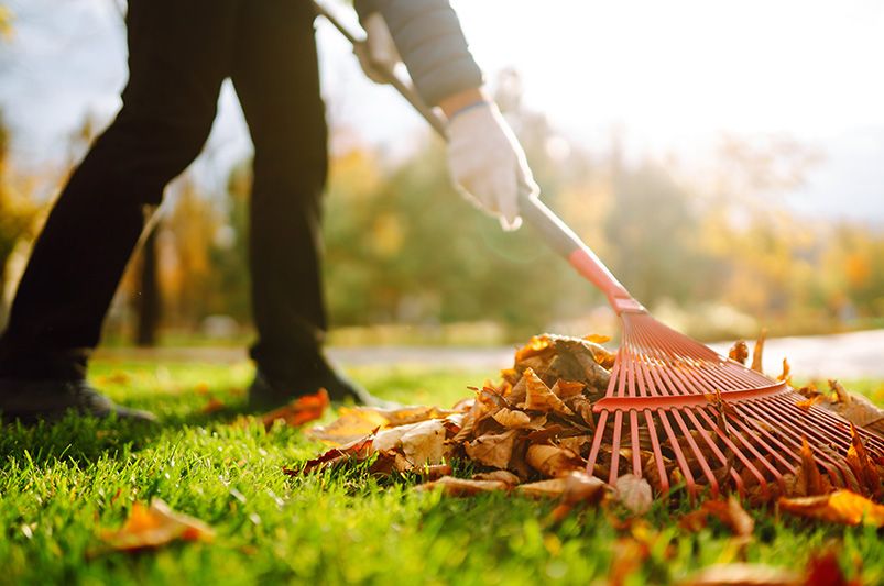 How to Prep Your Yard for Winter Like a Pro - Shrubhub