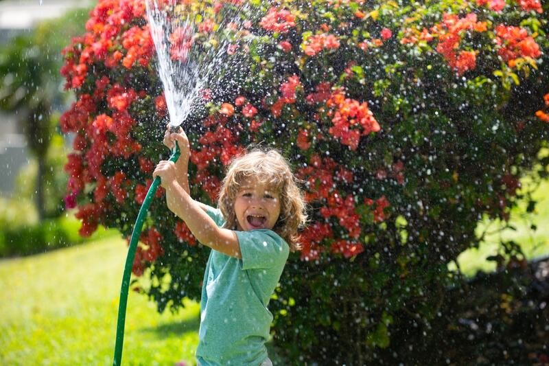 Kid Friendly Backyard Ideas - Shrubhub