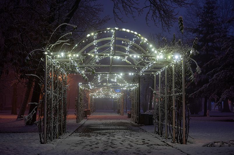 Captivating Winter Garden Design Ideas - Shrubhub