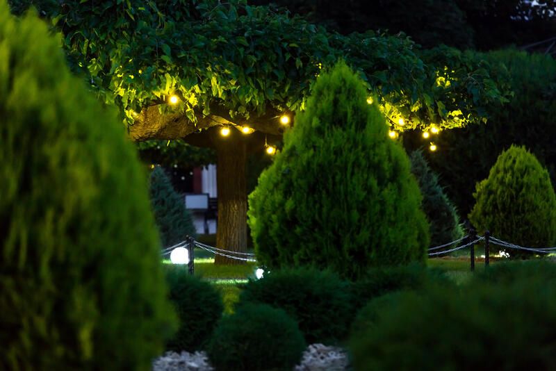 Landscaping Ideas For Small Front Yards - Shrubhub
