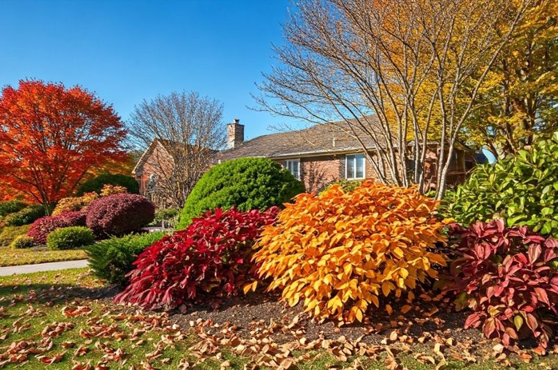 Front Yard Landscaping Ideas: Trending Inspirations - Shrubhub