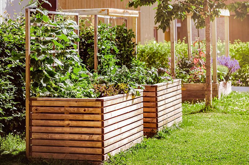 Create the Perfect Oasis with Front Yard Usable Space Ideas - Shrubhub