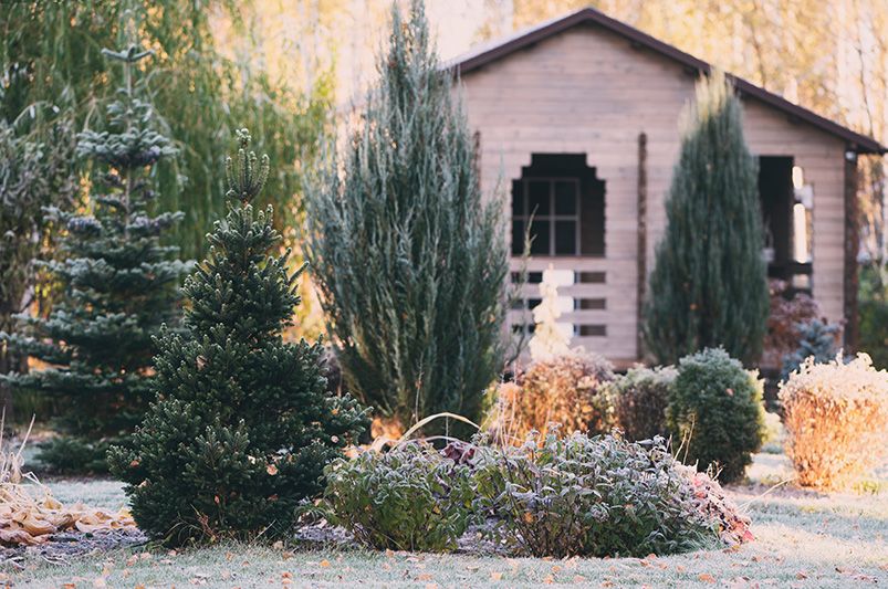 Elevate Your Curb Appeal in 2025: Winter Landscaping Ideas - Shrubhub