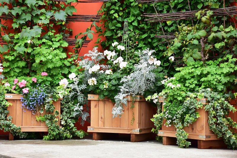 Budget Friendly Yard Design Ideas - Shrubhub