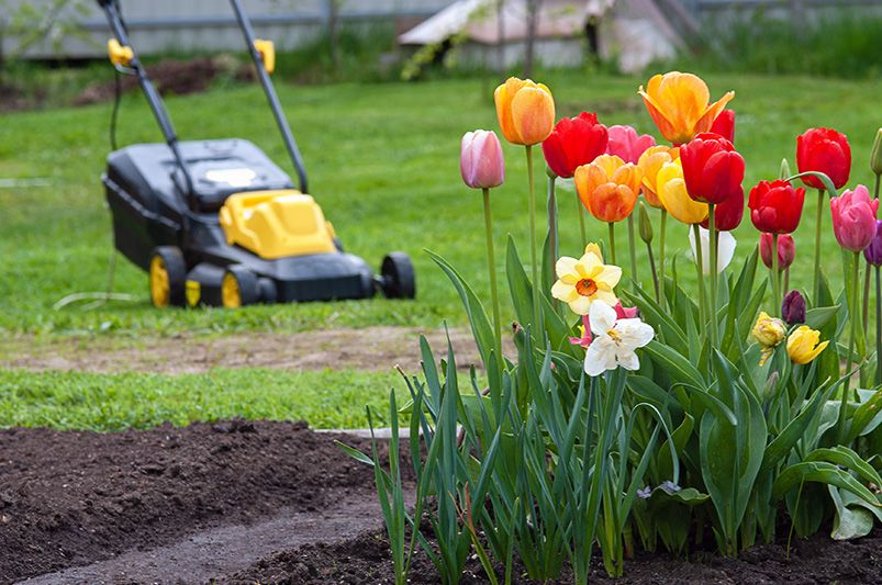 Spring Lawn Care: Essential Steps for a Lush, Green Yard - Shrubhub