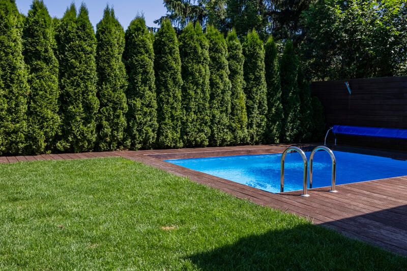 The Best Water Features For Your Yard - Shrubhub