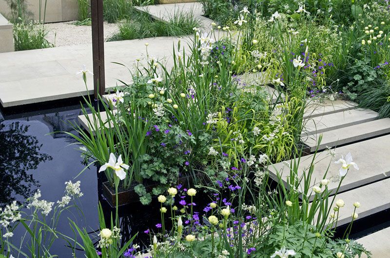 Top Tips For Designing The Perfect Modern Yard - Shrubhub