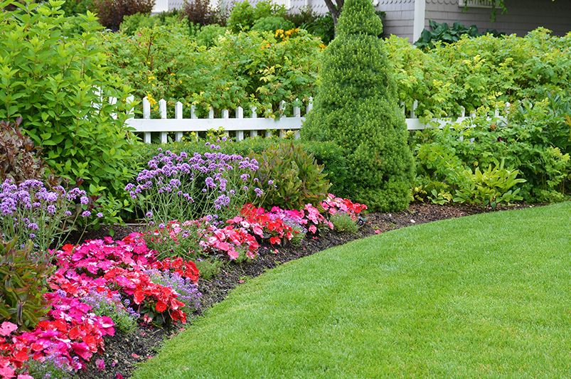 Sunny Hardy Plant Borders - Shrubhub