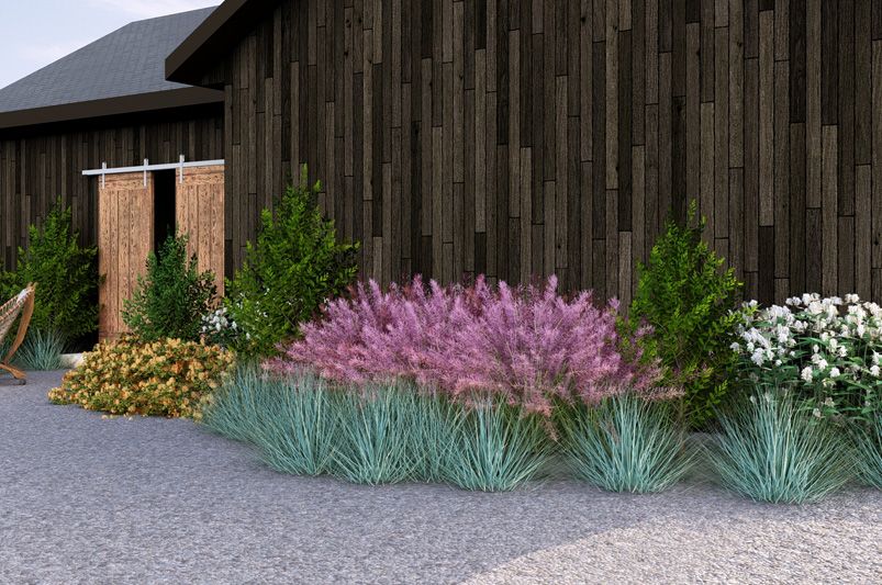 Sunny Hardy Plant Borders - Shrubhub