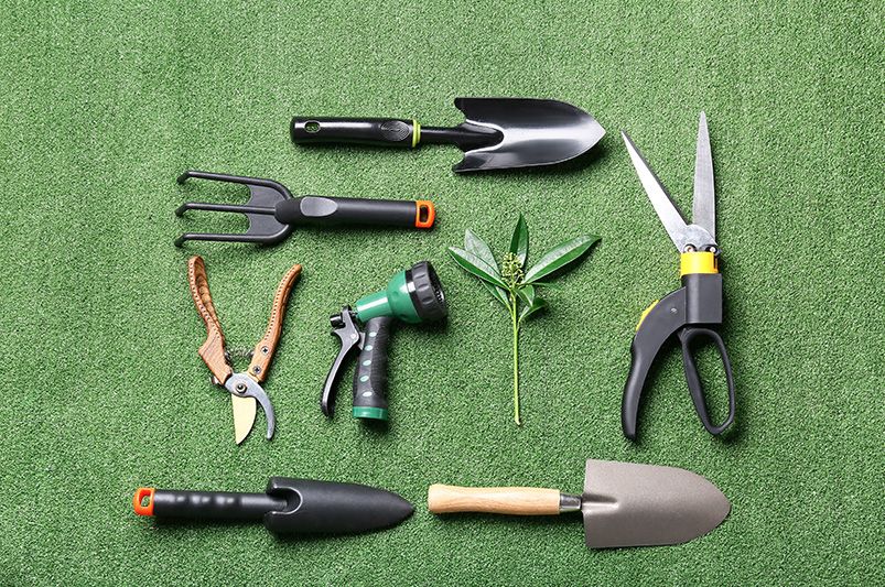 How to Start a Container Garden: Tips for New Gardeners - Shrubhub