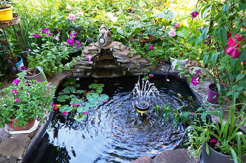 Why Every Garden Needs a Pond: Beauty, Balance & Backyard Bliss - Shrubhub