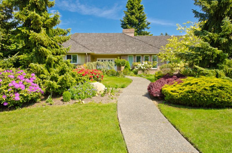 Professional Landscaping Tips For Your Dream Yard - Shrubhub