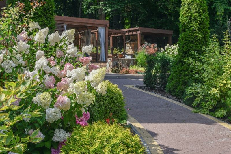 Professional Landscaping Tips For Your Dream Yard - Shrubhub