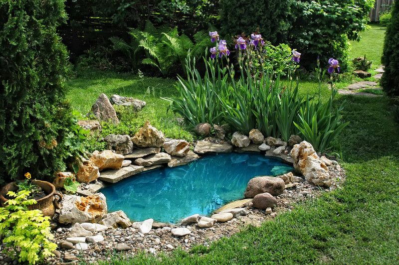 Professional Landscaping Tips For Your Dream Yard - Shrubhub