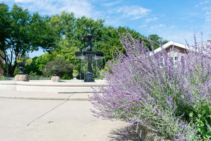 Colorado Landscape Design : How-To Guide - Shrubhub