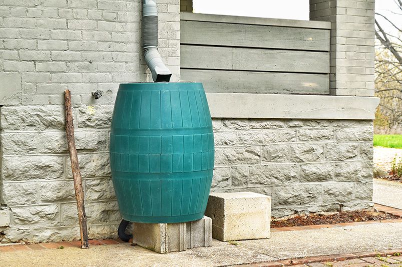 Rain Barrels & Rain Gardens: Eco-Friendly Water Conservation for Your Yard - Shrubhub