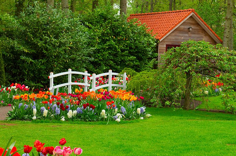 Designing with Color: How to Plan a Year-Round Palette in Your Landscape - Shrubhub