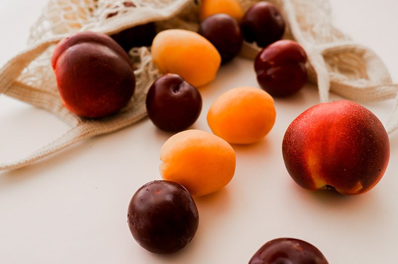 Grow More Fruit in Less Space with Fruit Cocktail Trees & Multi-Grafted Shrubs - Shrubhub