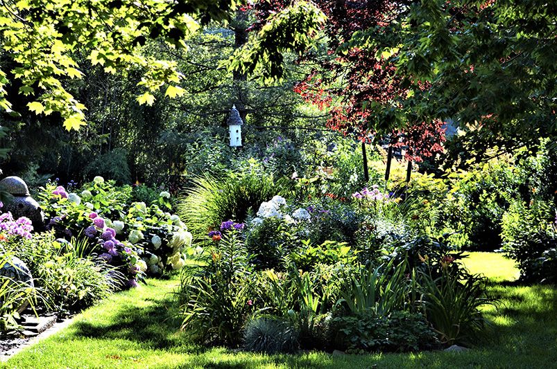 Chaos Gardening: How to Create a Wild, Low-Maintenance Garden That Thrives Naturally