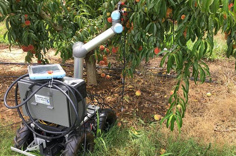 Robotic & Smart Tech in Landscaping: The Future of Smarter, Greener Yards - Shrubhub