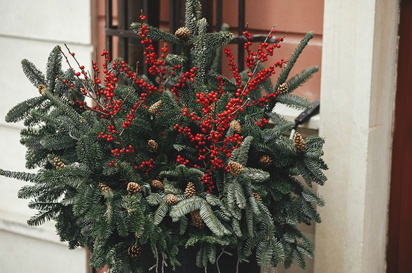 Winter Curb Appeal: Outdoor Lighting & Natural Holiday Decor Ideas - Shrubhub