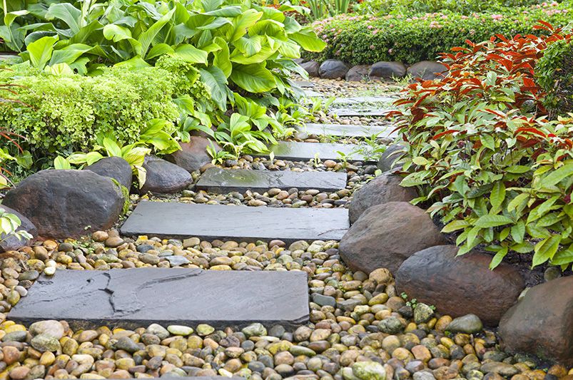 The Water-Wise Shortcut: Build a Drought-Tolerant Garden in One Weekend - Shrubhub