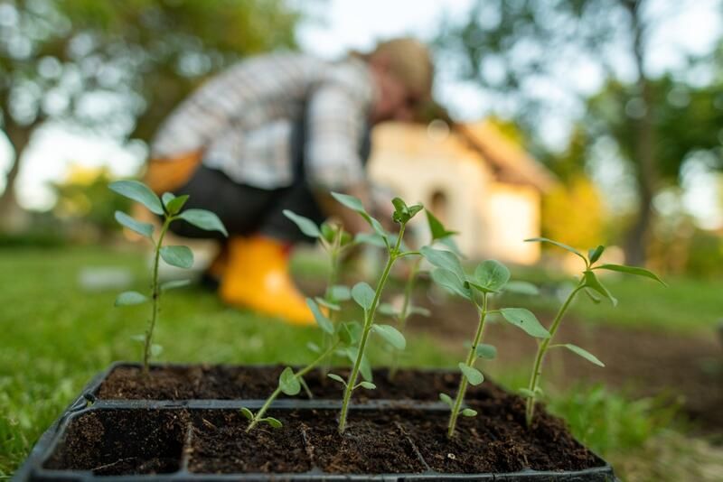 Don't Waste Time! 6 Tips To Create Your Dream Fall Yard Design - Shrubhub