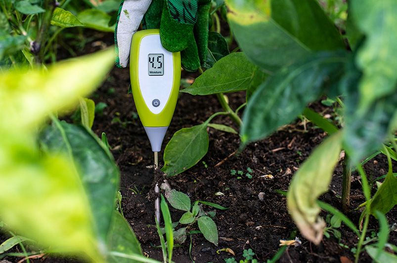 Phytobiome & Soil Communication: The Future of Smart Gardening - Shrubhub