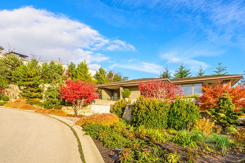 Extend Your Fall Color: How to Keep Blooms and Landscape Interest Alive Past the First Frost - Shrubhub