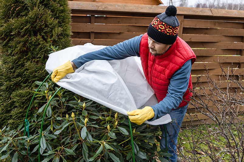 Extend Your Fall Color: How to Keep Blooms and Landscape Interest Alive Past the First Frost - Shrubhub