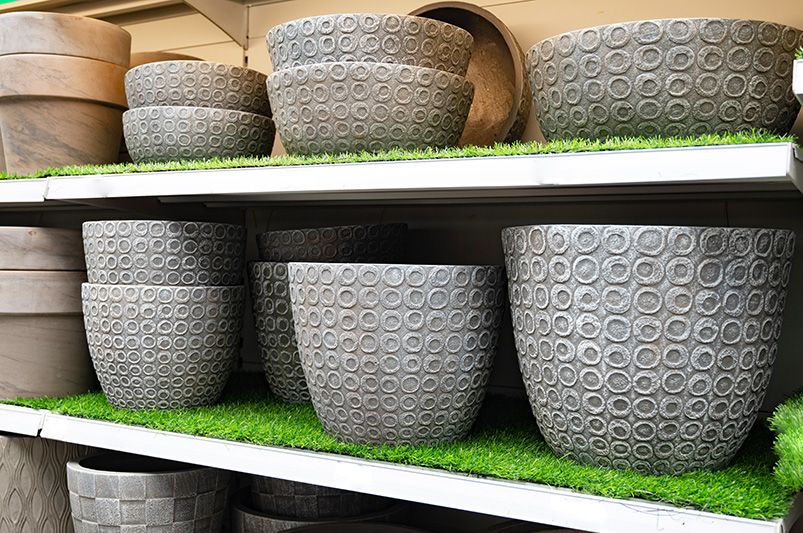 Cold-Weather Container Gardening: Overwintering Plants in Small Yards with Ease - Shrubhub