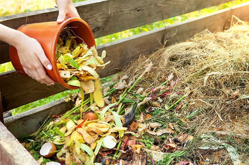 Mulching, Composting & Off-Season Soil Care: Prepare Your Yard for a Lush Spring - Shrubhub