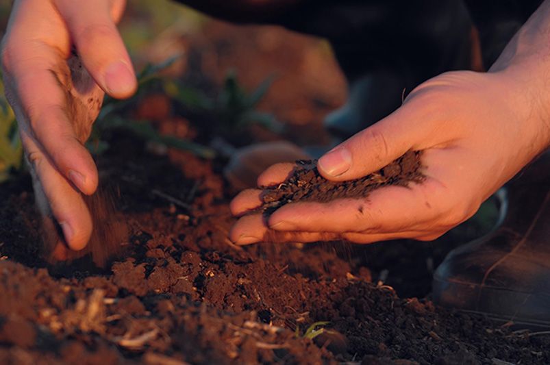 Mulching, Composting & Off-Season Soil Care: Prepare Your Yard for a Lush Spring