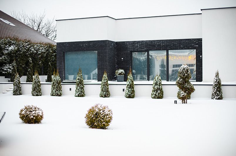 Winter Interest Landscaping: How to Keep Your Yard Beautiful All Winter - Shrubhub