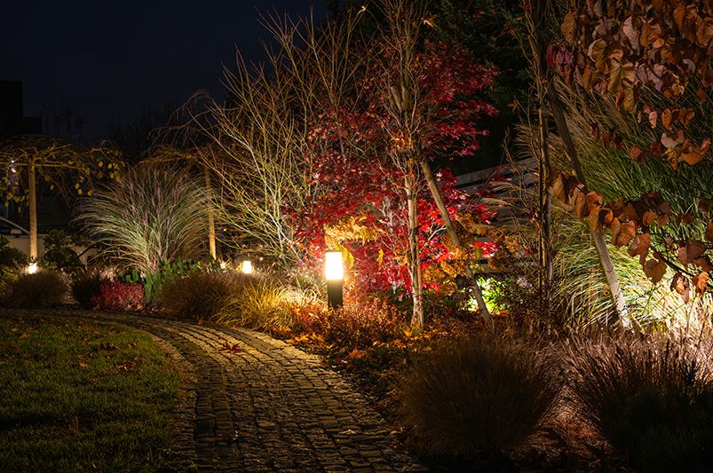 Winter Interest Landscaping: How to Keep Your Yard Beautiful All Winter - Shrubhub