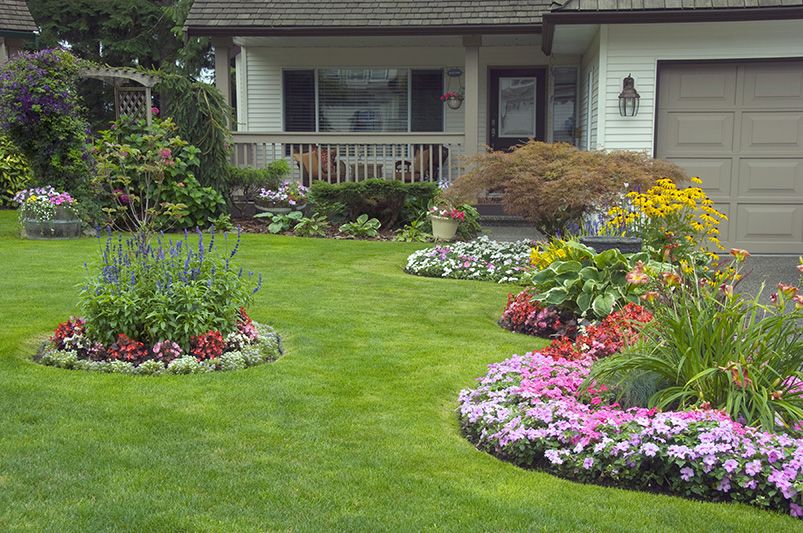 Balancing Color, Texture & Height: Landscape Design Tips - Shrubhub