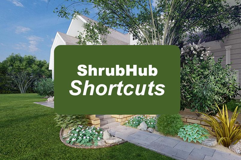 Balancing Color, Texture & Height: Landscape Design Tips - Shrubhub