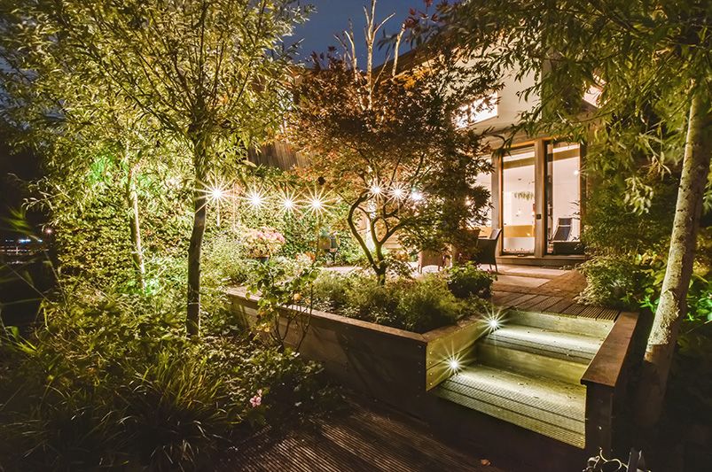 Smart Winter Lighting & Micro-Climate Tips for Small Yards - Shrubhub