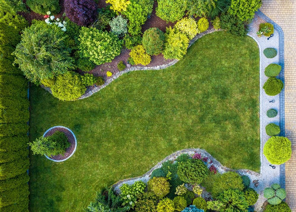 How to Design a Backyard That Actually Works for Your Lifestyle - Shrubhub