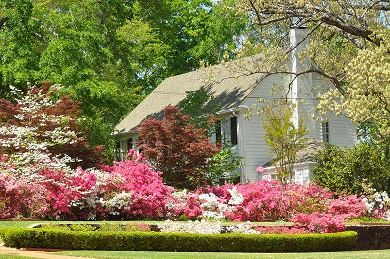 How to Design a Low-Maintenance Landscape: 12 Ideas That Save Time, Water & Work - Shrubhub