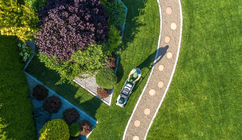 How to Design a Low-Maintenance Landscape: 12 Ideas That Save Time, Water & Work - Shrubhub
