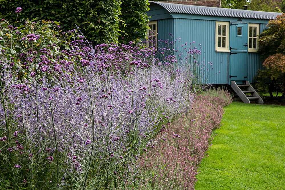 How to Design a Rain Garden: Turn a Soggy Yard Into a Beautiful, Water-Wise Landscape - Shrubhub