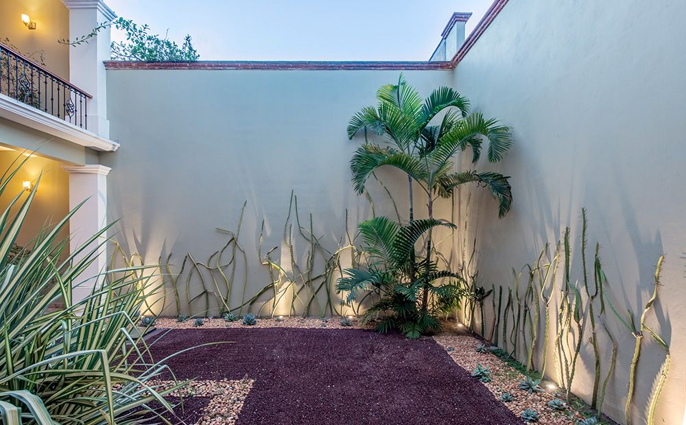 How to Design a Rain Garden: Turn a Soggy Yard Into a Beautiful, Water-Wise Landscape - Shrubhub