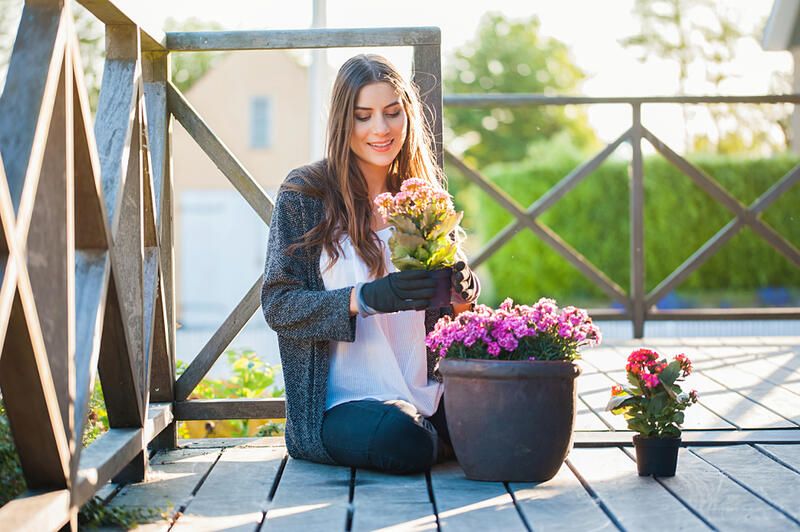 The Ultimate Side Yard Makeover  - Shrubhub