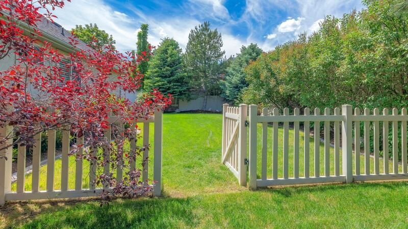 The Ultimate Side Yard Makeover  - Shrubhub