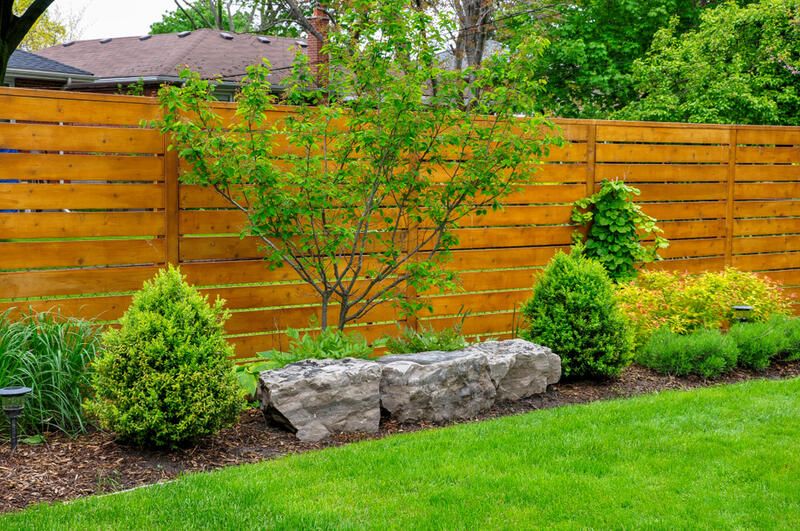 Your Guide To Yard Fencing  - Shrubhub