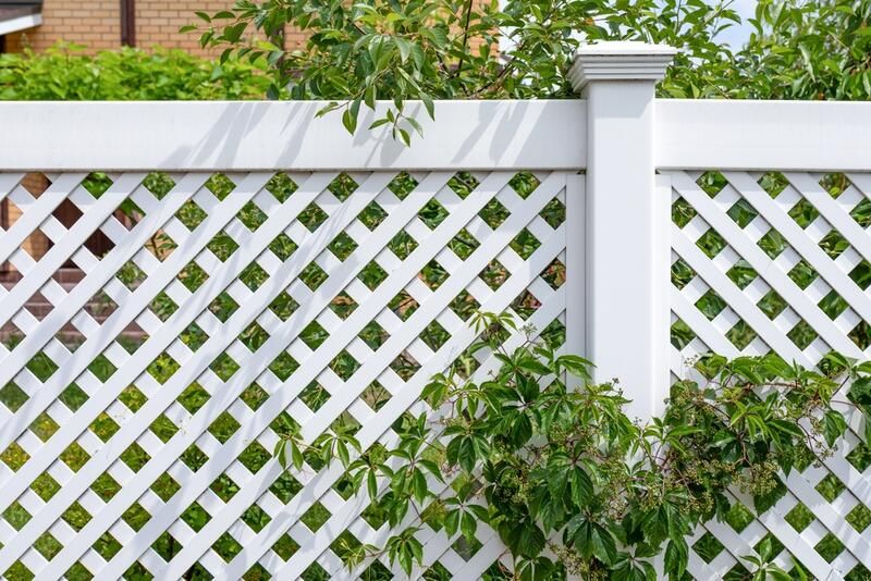 Your Guide To Yard Fencing  - Shrubhub