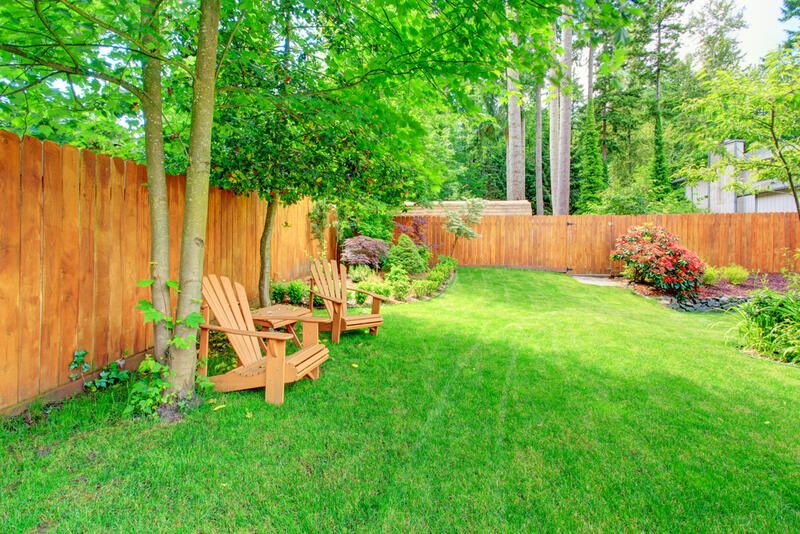 Your Guide To Yard Fencing  - Shrubhub