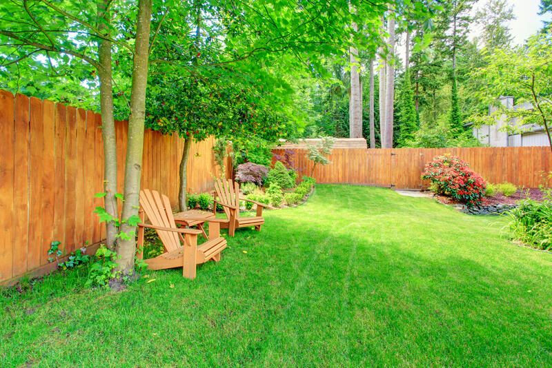 Your Guide To Yard Fencing  - Shrubhub