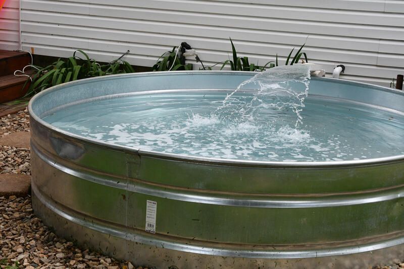 Everything You Need to Know About Stock Tank Pools - Shrubhub